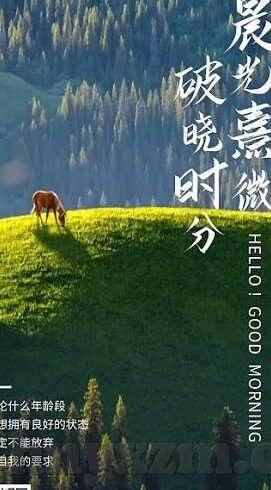成人黄色视频免费在线观看-与网络伦理，理性审视与自我保护