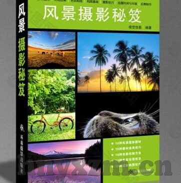 麻豆传媒在线观看传媒-麻豆传媒——传媒艺术的视觉盛宴