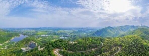 麻豆文化传媒有限公司-麻豆文化传媒，塑造现代传播美学的新力量