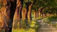 麻豆约拍app苹果版下载-探寻摄影创意的无限可能，麻豆约拍APP苹果版下载体验指南