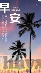 糖心app上有啥好看的-糖心app上不可错过的视觉盛宴，内容之美一瞥