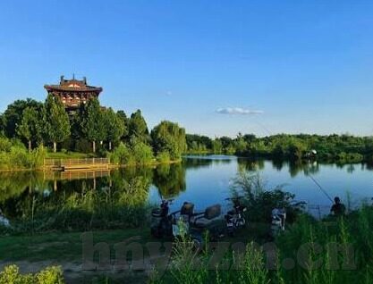 糖心直播官网入口-探索数字娱乐新领域，糖心直播平台